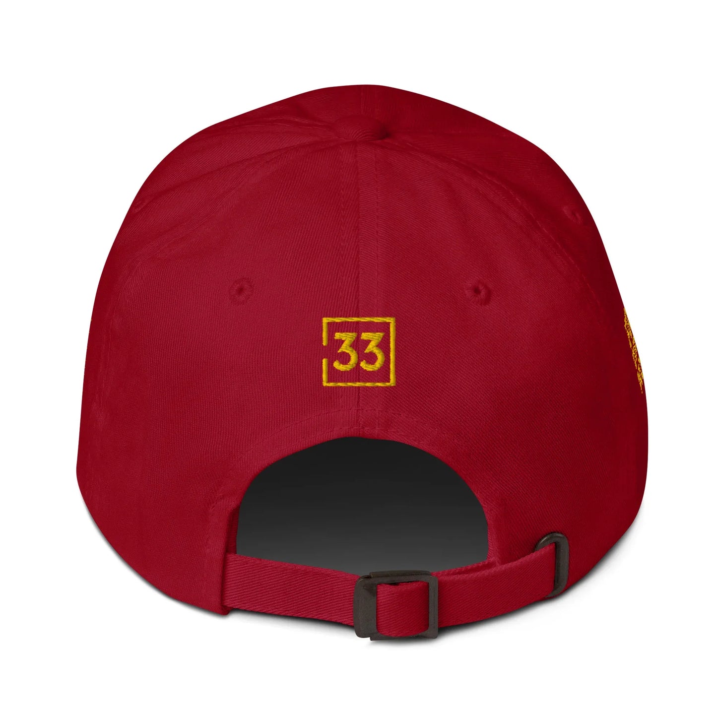 PRO 31 Dad hat - Da G.A.T.E 33