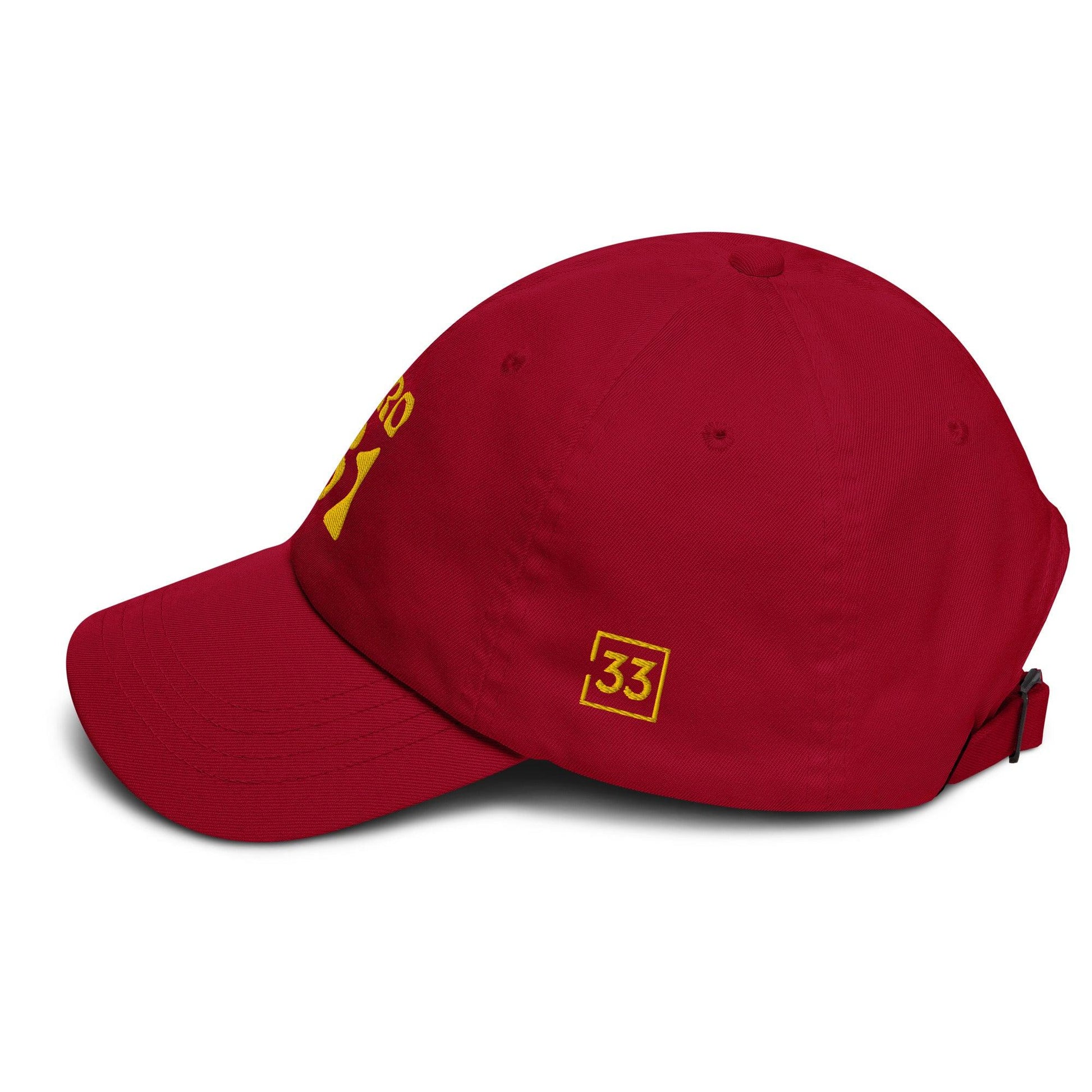 PRO 31 Dad hat - Da G.A.T.E 33