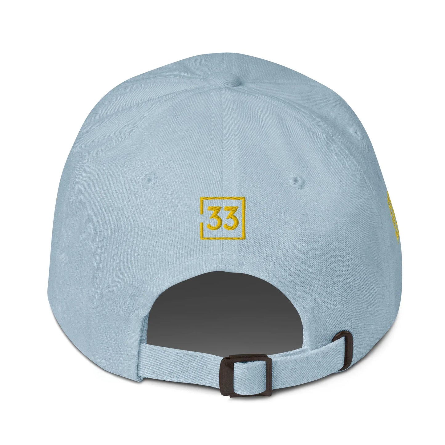 PRO 31 Dad hat - Da G.A.T.E 33