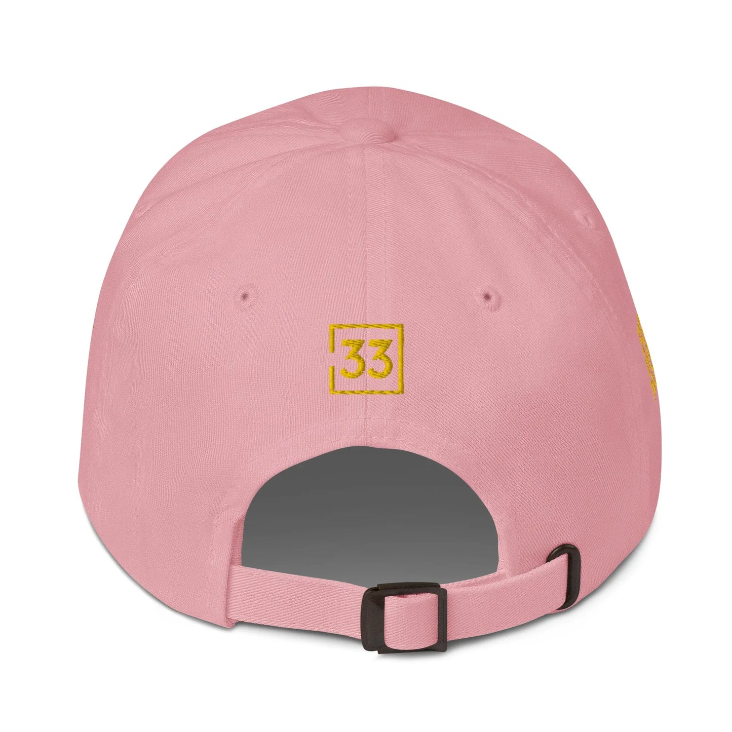 PRO 31 Dad hat - Da G.A.T.E 33