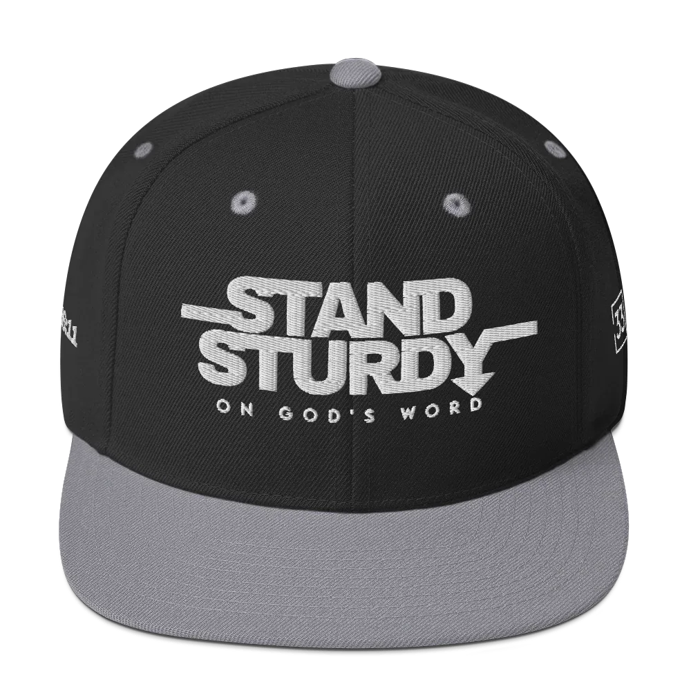 STAY STURDY Snapback Hat - Da G.A.T.E 33