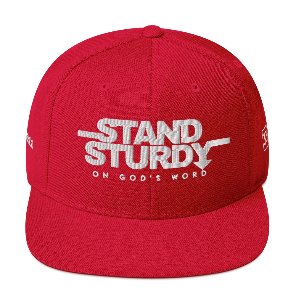 STAY STURDY Snapback Hat - Da G.A.T.E 33