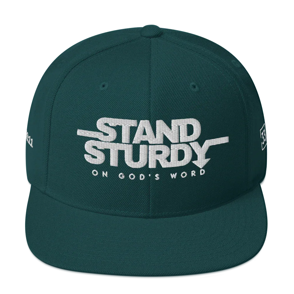 STAY STURDY Snapback Hat - Da G.A.T.E 33