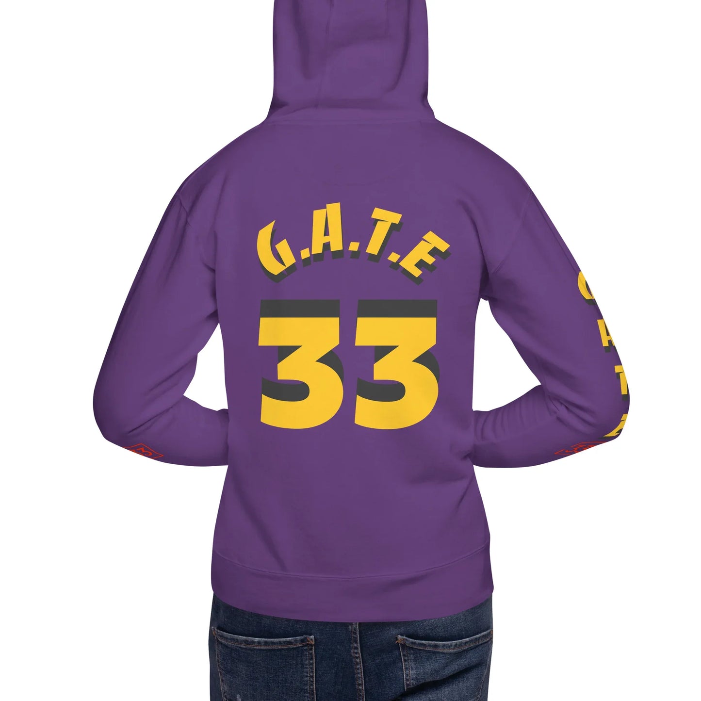 PAIN IN FULL Unisex Hoodie - Da G.A.T.E 33