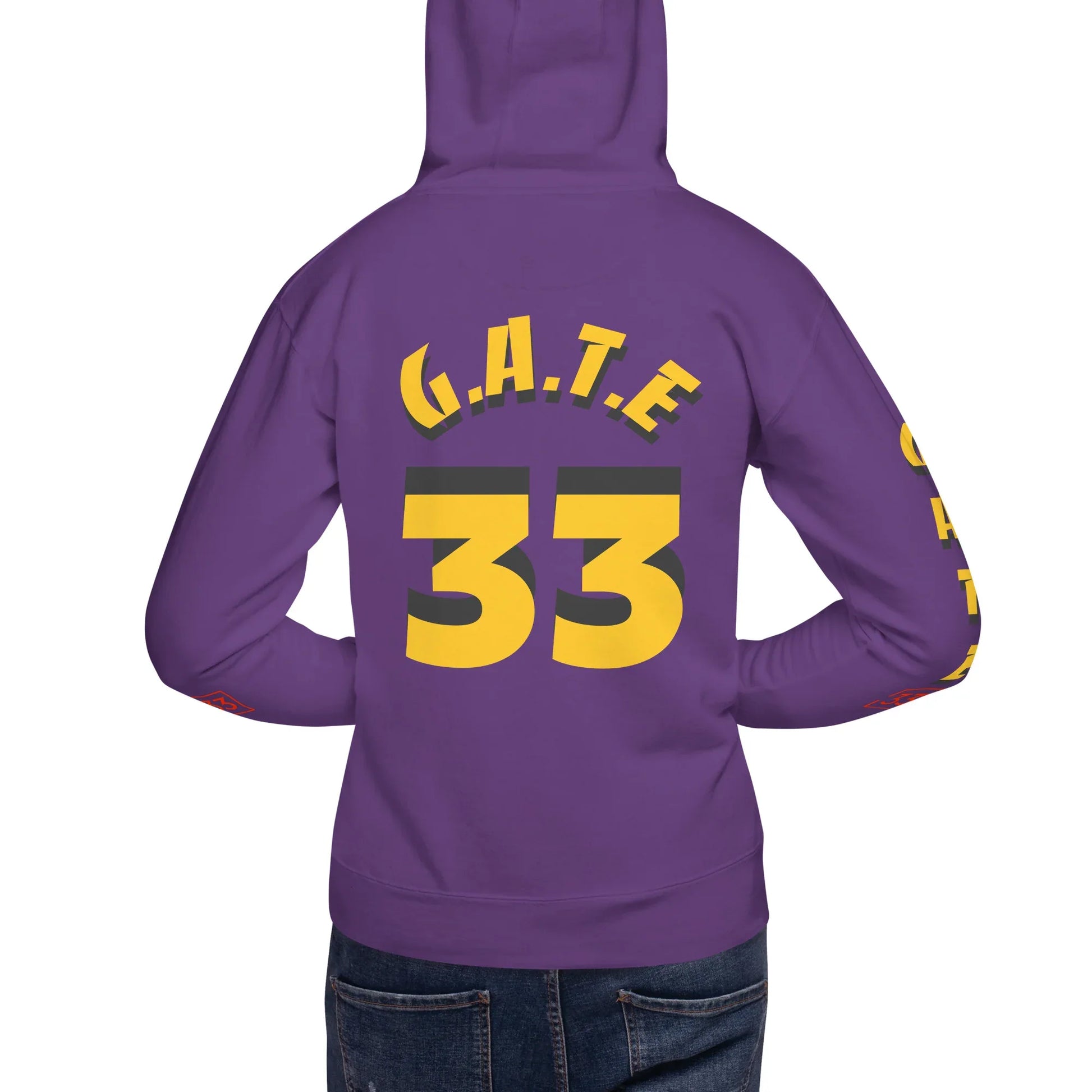 PAIN IN FULL Unisex Hoodie - Da G.A.T.E 33