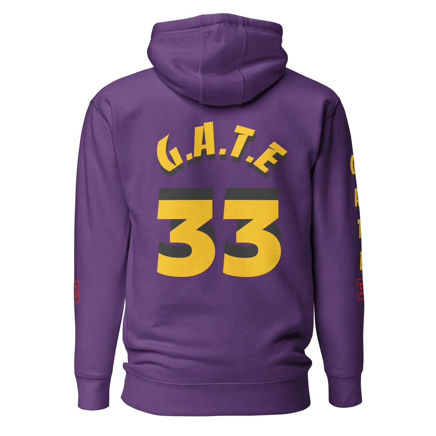PAIN IN FULL Unisex Hoodie - Da G.A.T.E 33