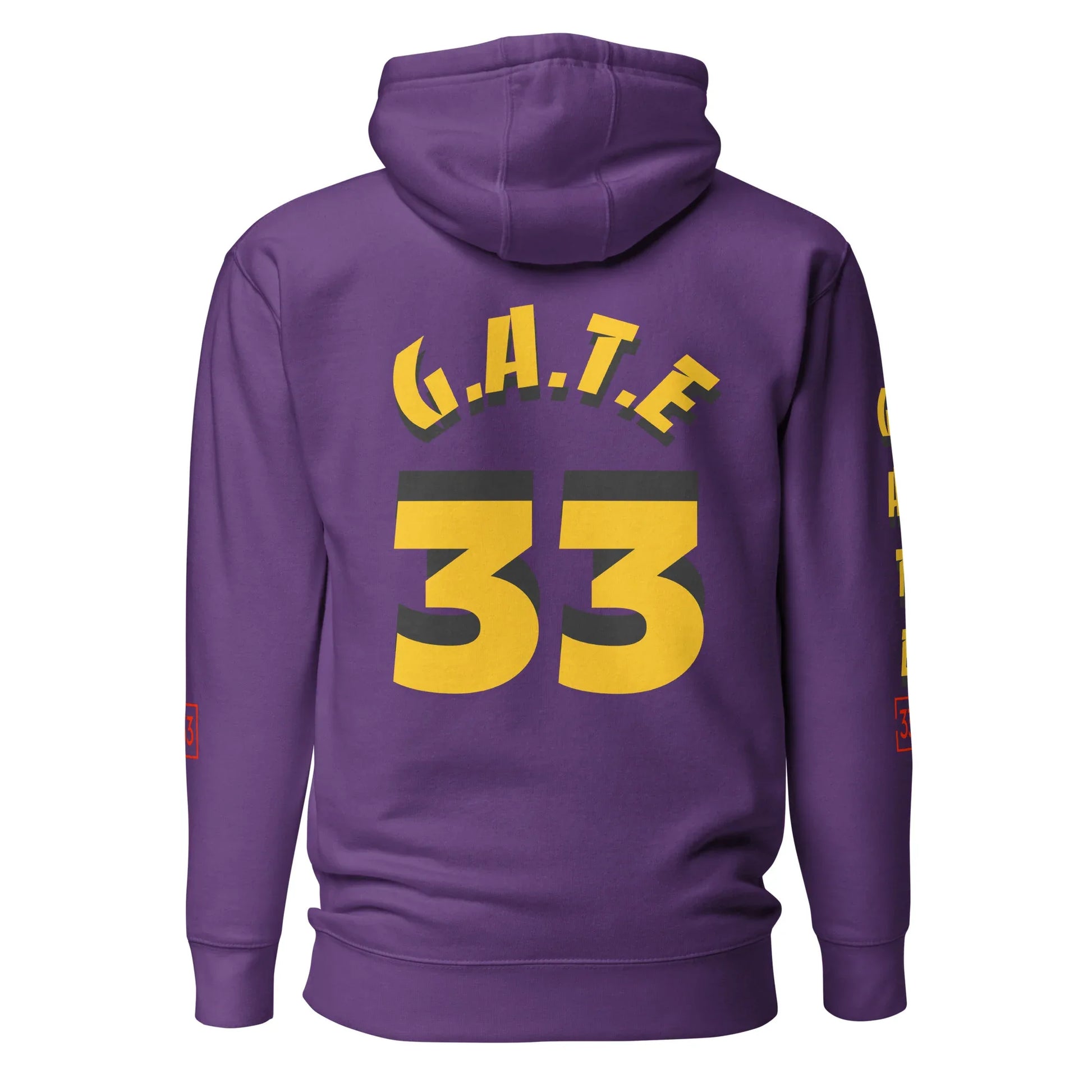 PAIN IN FULL Unisex Hoodie - Da G.A.T.E 33