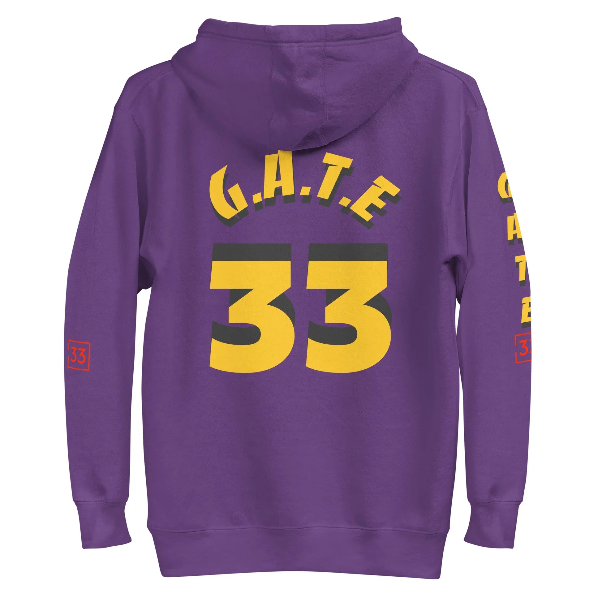 PAIN IN FULL Unisex Hoodie - Da G.A.T.E 33