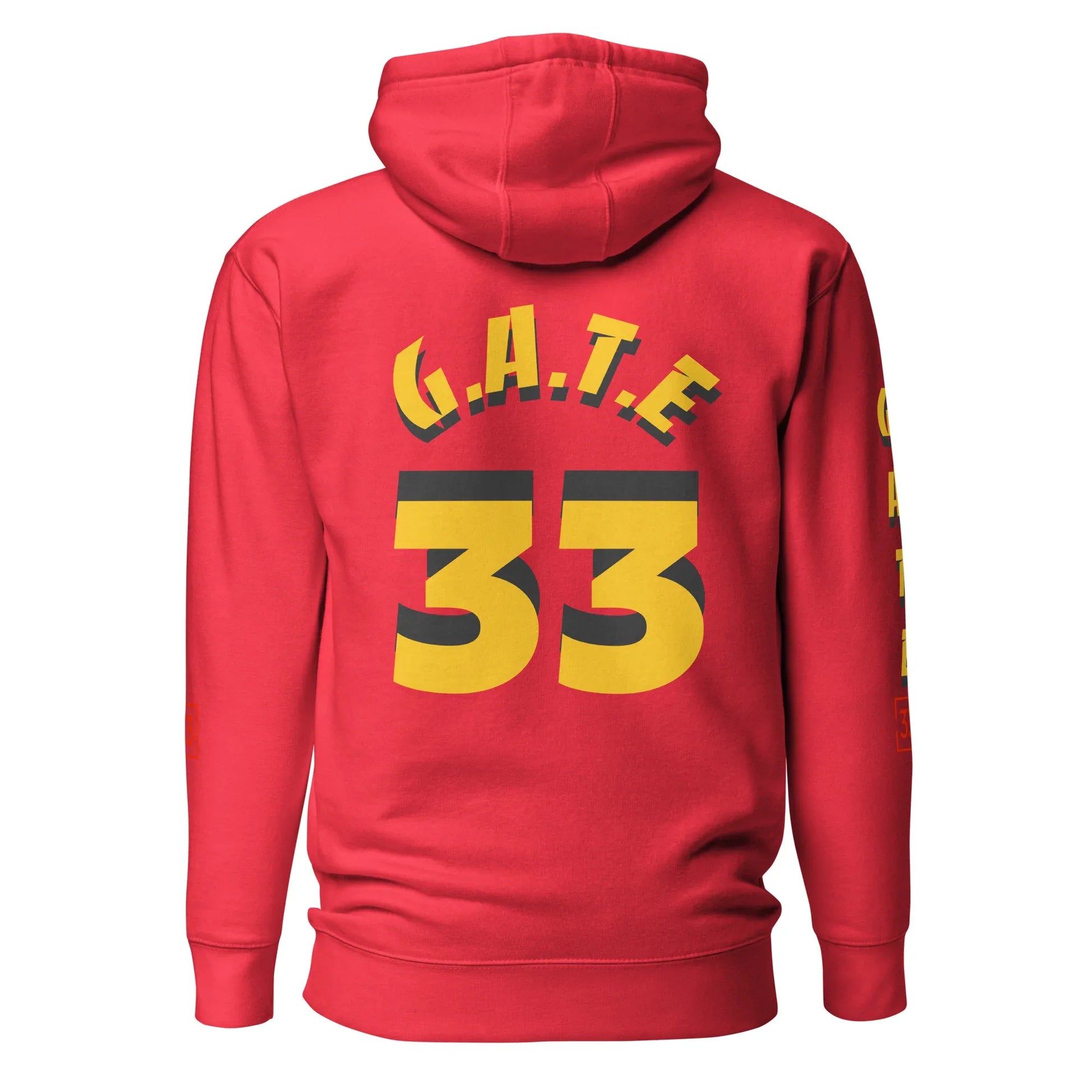 PAIN IN FULL Unisex Hoodie - Da G.A.T.E 33
