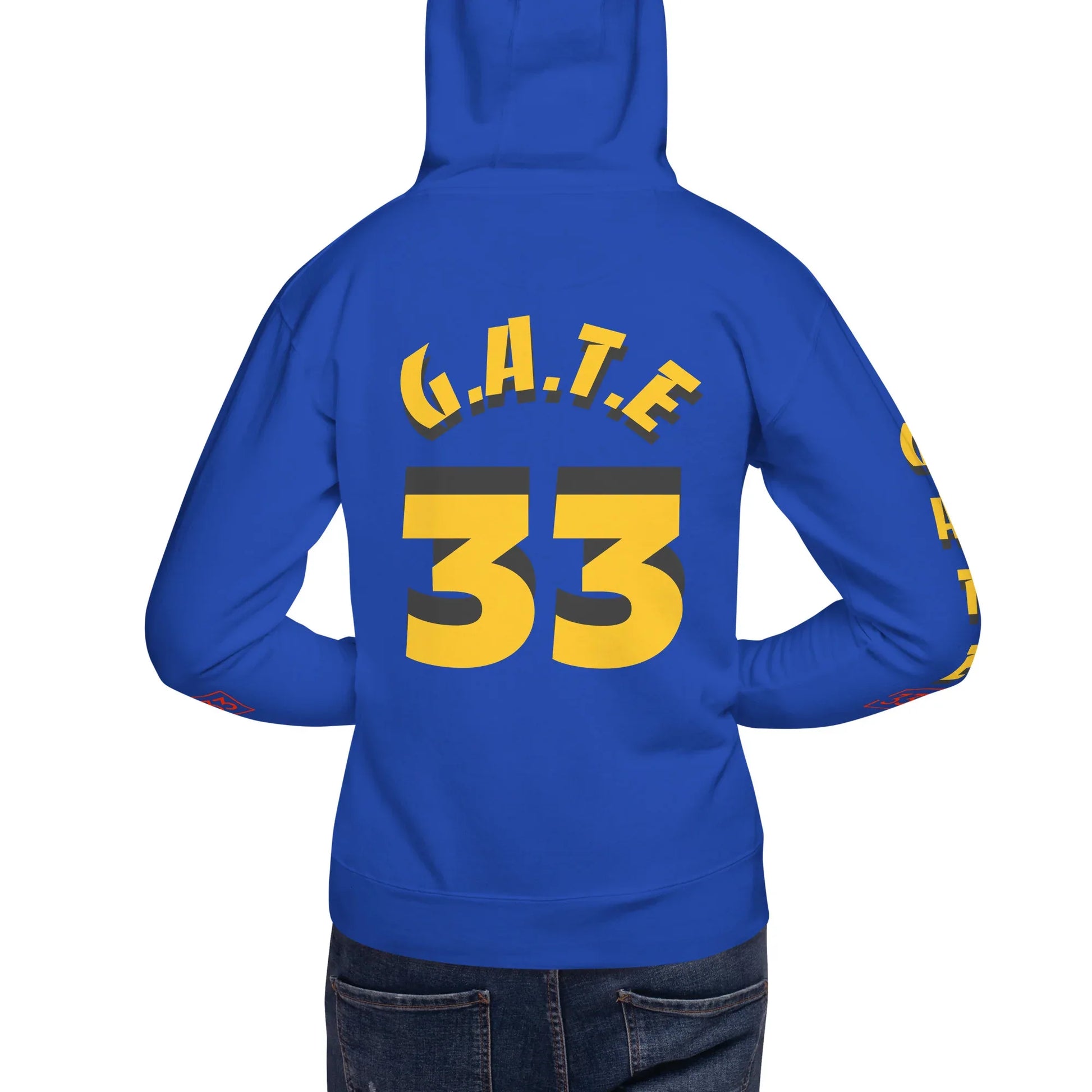 PAIN IN FULL Unisex Hoodie - Da G.A.T.E 33
