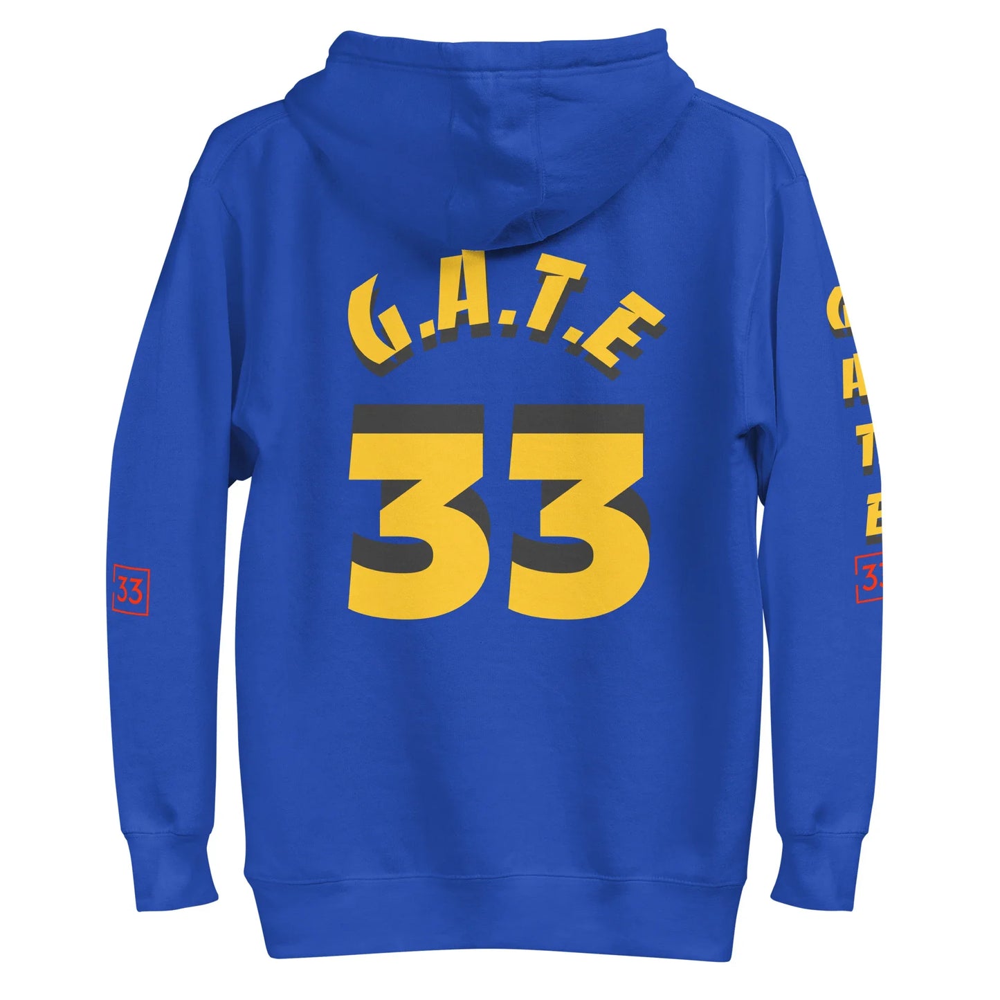 PAIN IN FULL Unisex Hoodie - Da G.A.T.E 33