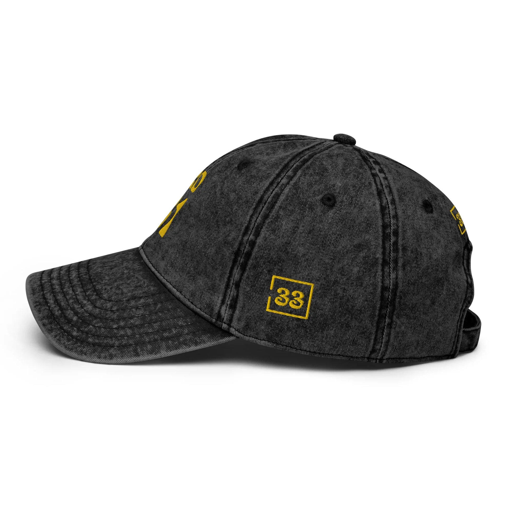 PRO 31 Vintage Cotton Twill Cap - Da G.A.T.E 33