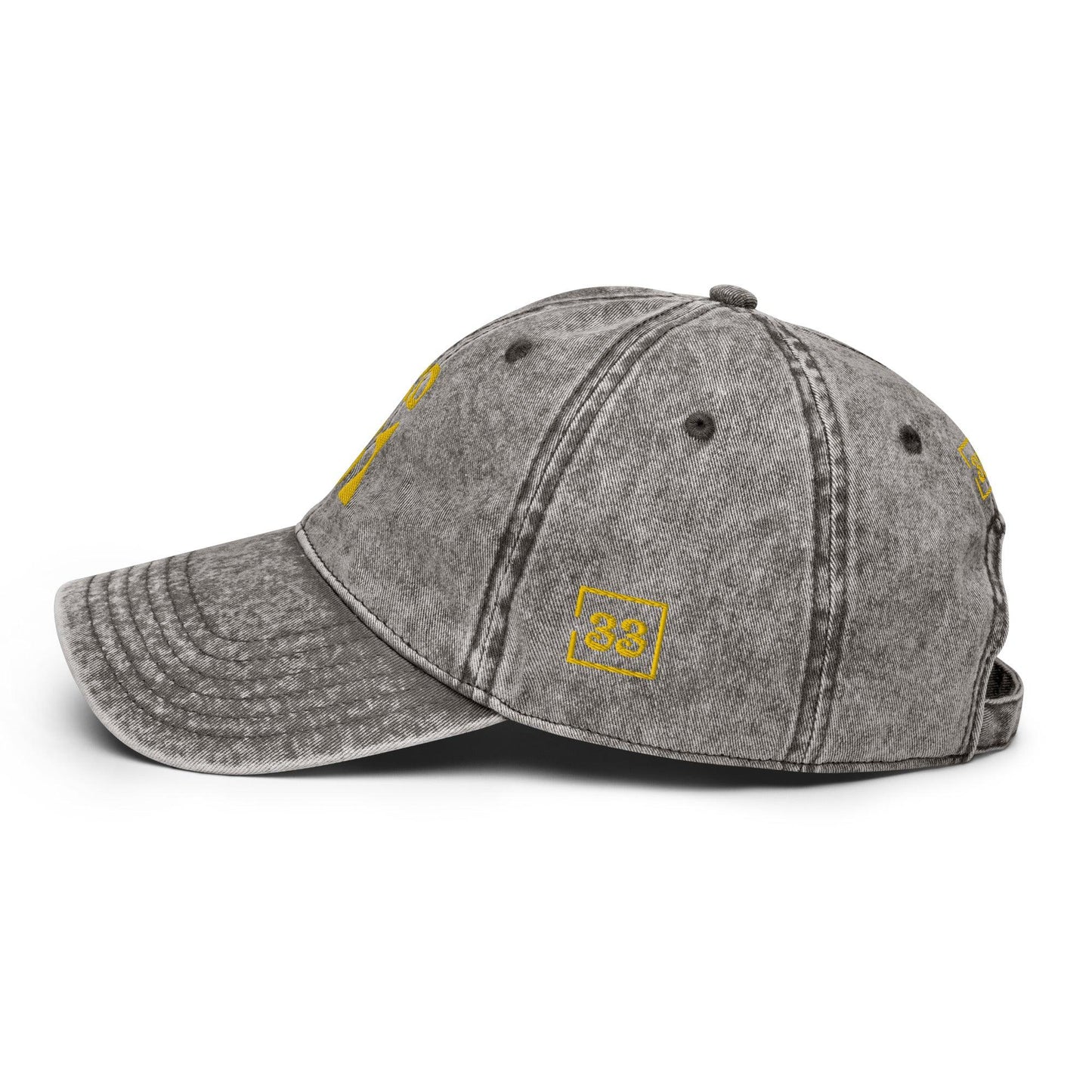 PRO 31 Vintage Cotton Twill Cap - Da G.A.T.E 33