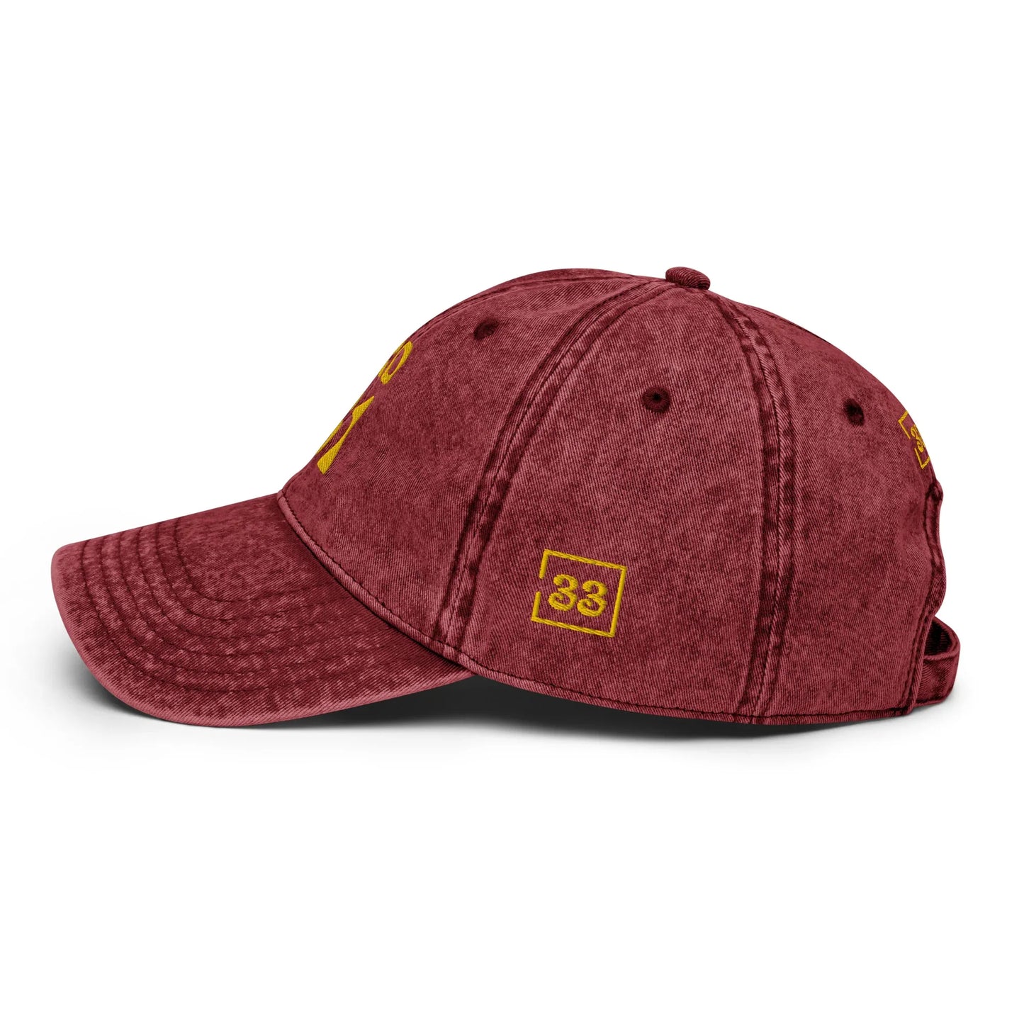 PRO 31 Vintage Cotton Twill Cap - Da G.A.T.E 33