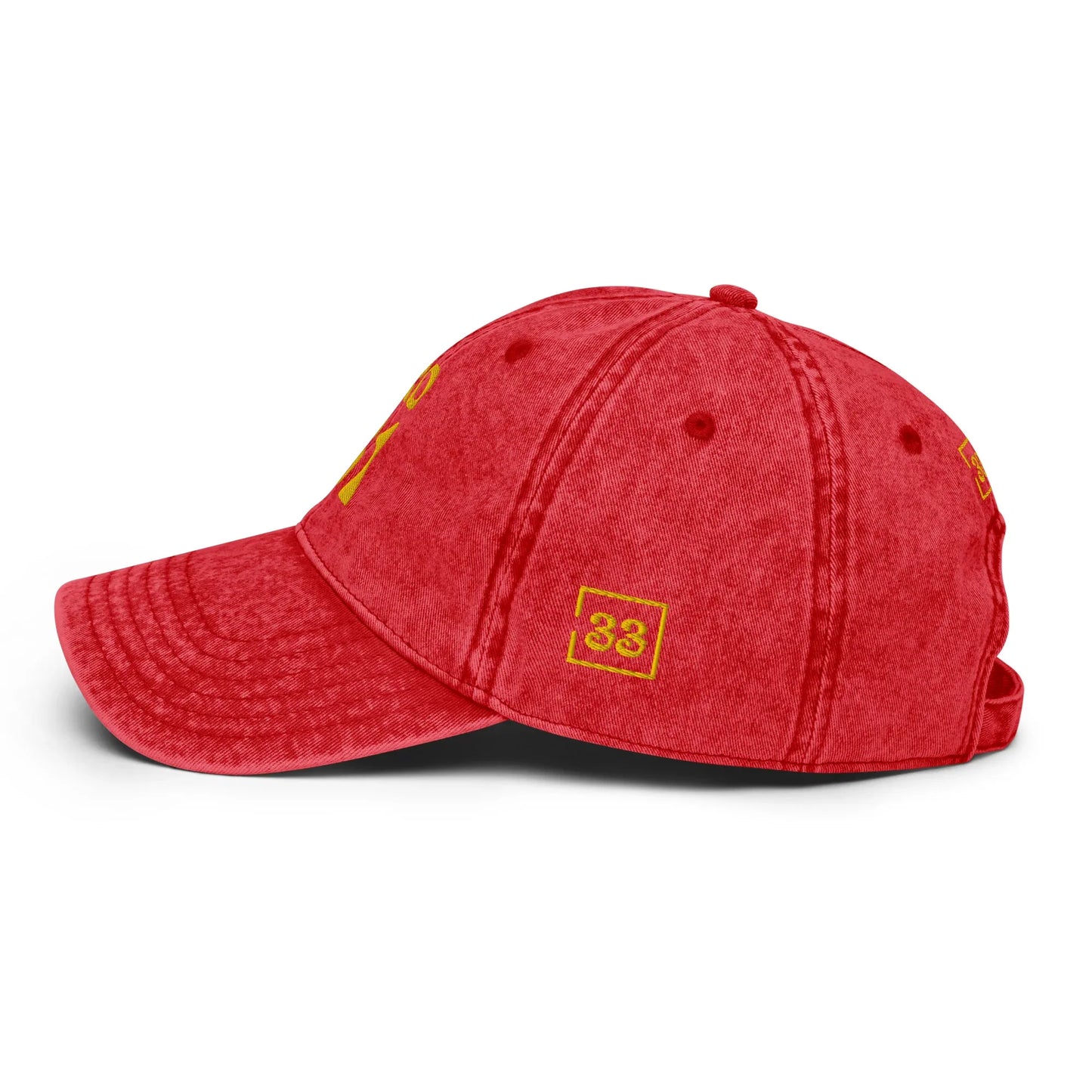 PRO 31 Vintage Cotton Twill Cap - Da G.A.T.E 33